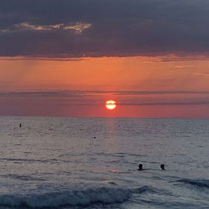 Meet your Posher, Maddy